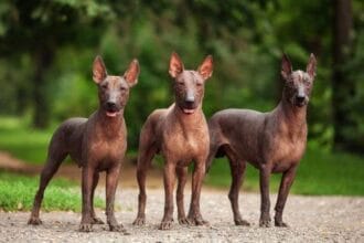 10 Surprising Facts You Didn't Know About Mexico