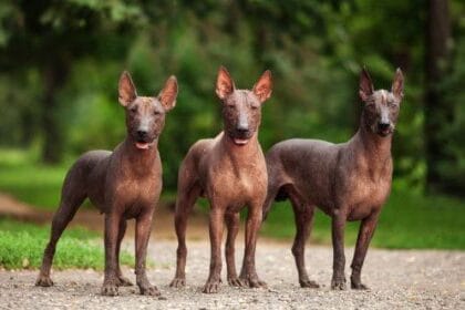 10 Surprising Facts You Didn't Know About Mexico