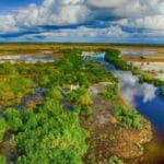 Everglades' Dark Side: 10 Chilling Disappearance Stories