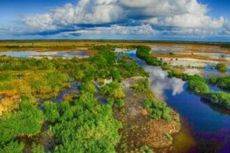 Everglades' Dark Side: 10 Chilling Disappearance Stories
