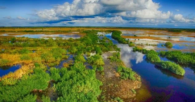 Everglades' Dark Side: 10 Chilling Disappearance Stories