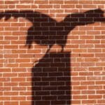 Poe Surprises: 10 Facts You Didn't Know!