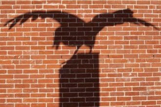 Poe Surprises: 10 Facts You Didn't Know!