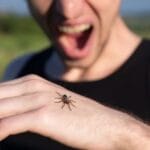 10 Cultural Fears: Unique Phobias Around The World