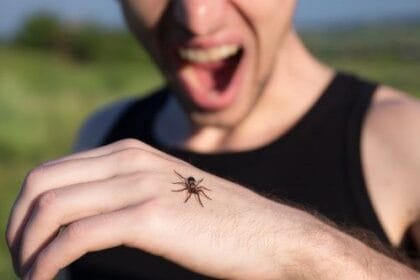 10 Cultural Fears: Unique Phobias Around The World