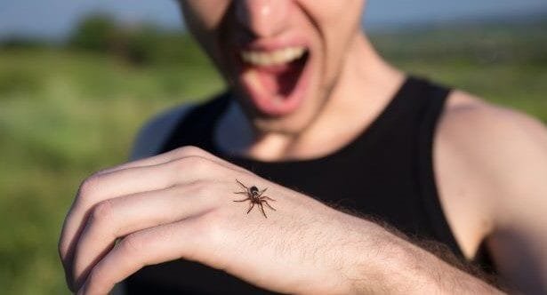 10 Cultural Fears: Unique Phobias Around The World