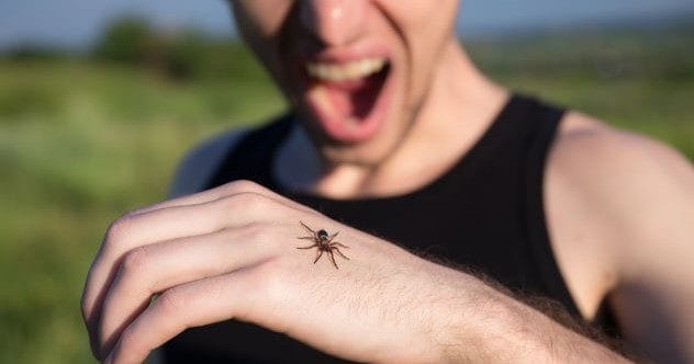 10 Cultural Fears: Unique Phobias Around The World