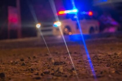 10 Celebrities You Didn't Know Killed Someone