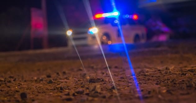 10 Celebrities You Didn't Know Killed Someone