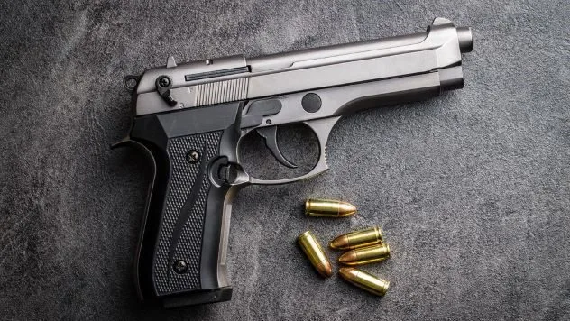 Everglades landscape