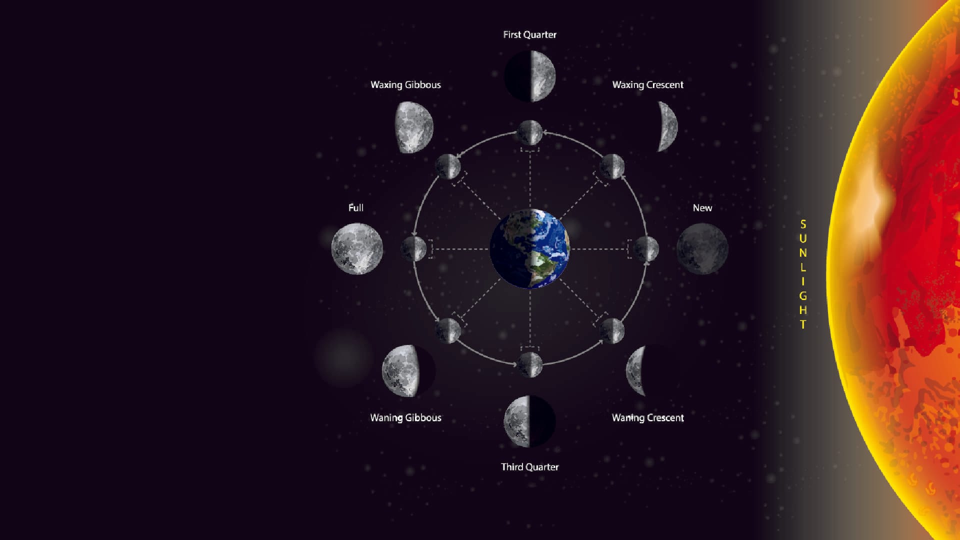 Menstrual Cycle and the Moon