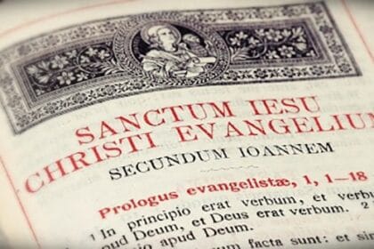 10 Amazing Facts Every Book Lover Should Know