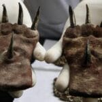 Ancient Finds: 10 Mystical Beliefs Unearthed!