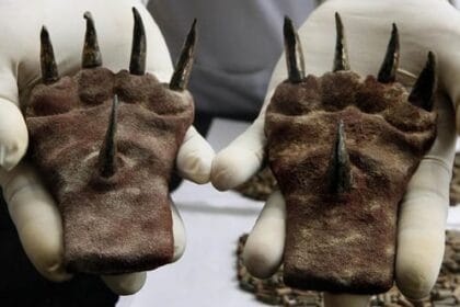 Ancient Finds: 10 Mystical Beliefs Unearthed!