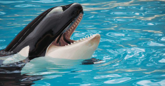 Docs That Dared: 10 Films Shifting Perspectives