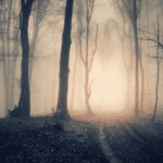 Roanoke Colony: 10 Mysterious Facts You Didn't Know