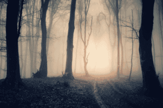 Roanoke Colony: 10 Mysterious Facts You Didn't Know