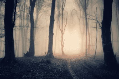 Roanoke Colony: 10 Mysterious Facts You Didn't Know