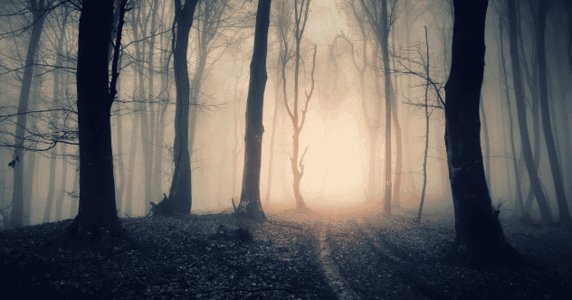 Roanoke Colony: 10 Mysterious Facts You Didn't Know