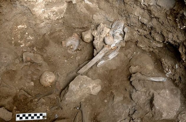 Animal bone burial site in Galilee