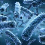 Bizarre Bacteria: 10 Unbelievable Facts You Won't Believe