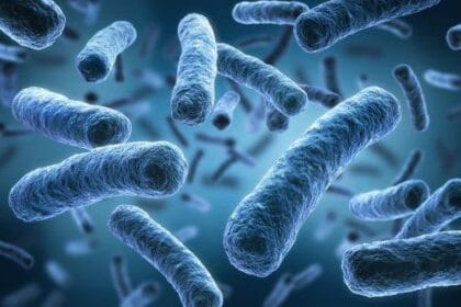 Bizarre Bacteria: 10 Unbelievable Facts You Won't Believe