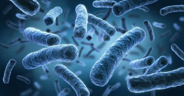 Bizarre Bacteria: 10 Unbelievable Facts You Won't Believe