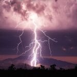 Top 10 False Facts You’ve Always Believed!