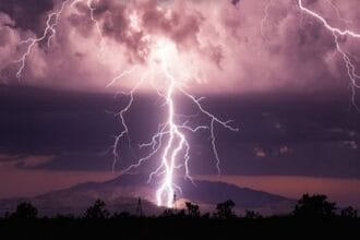 Top 10 False Facts You’ve Always Believed!