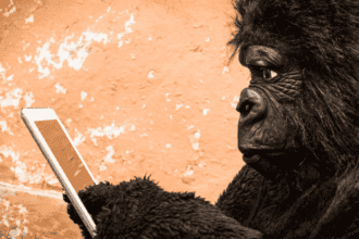 Human-Like Animals: Top 10 Surprising Behaviors