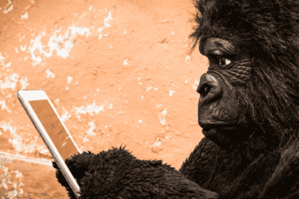 Human-Like Animals: Top 10 Surprising Behaviors