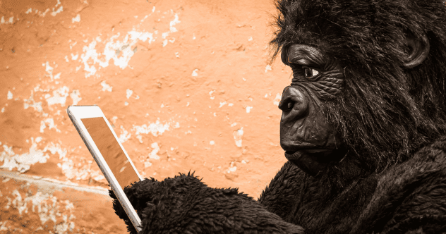 Human-Like Animals: Top 10 Surprising Behaviors