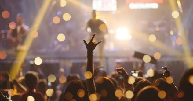 Concert Chaos: 10 Outlandish Items Tossed On Stage!