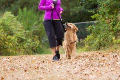 10 Everyday Activities That Turned Tragic