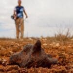 Spooky Space Rocks: 10 Meteorites With Wild Stories