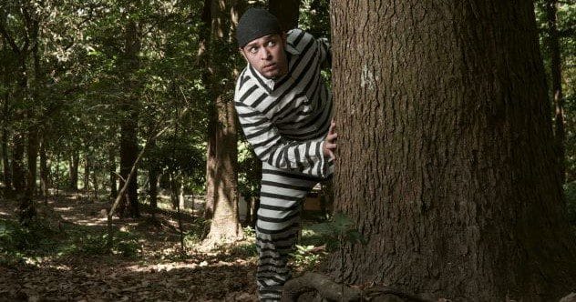 Wildest Prison Break: 10 Facts About the Mecklenburg Escape