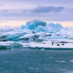 Antarctica Melts: 10 Shocking Global Changes