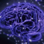Brain Facts: 10 Mind-Blowing Things You Didn't Know