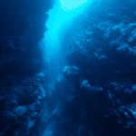 Ocean's Secrets: 10 Mind-Blowing Facts Revealed