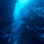 Ocean's Secrets: 10 Mind-Blowing Facts Revealed