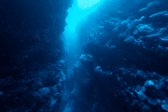 Ocean's Secrets: 10 Mind-Blowing Facts Revealed