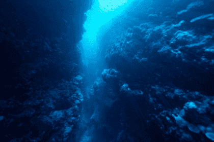 Ocean's Secrets: 10 Mind-Blowing Facts Revealed