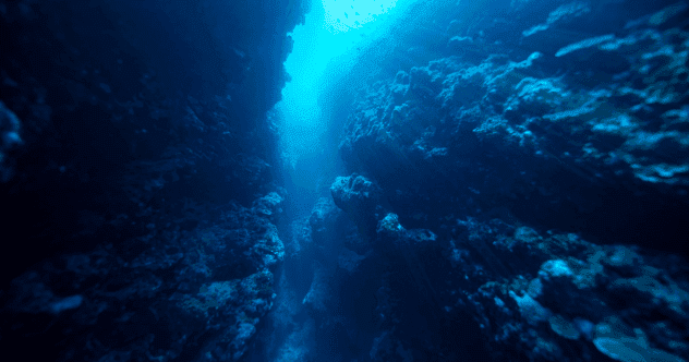 Ocean's Secrets: 10 Mind-Blowing Facts Revealed