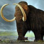 Reviving the Past: 10 Ambitious De-Extinction Projects