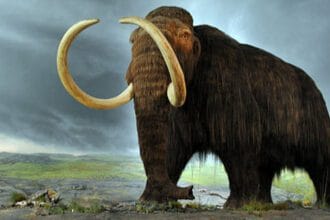 Reviving the Past: 10 Ambitious De-Extinction Projects