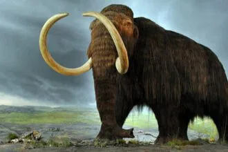 Reviving the Past: 10 Ambitious De-Extinction Projects