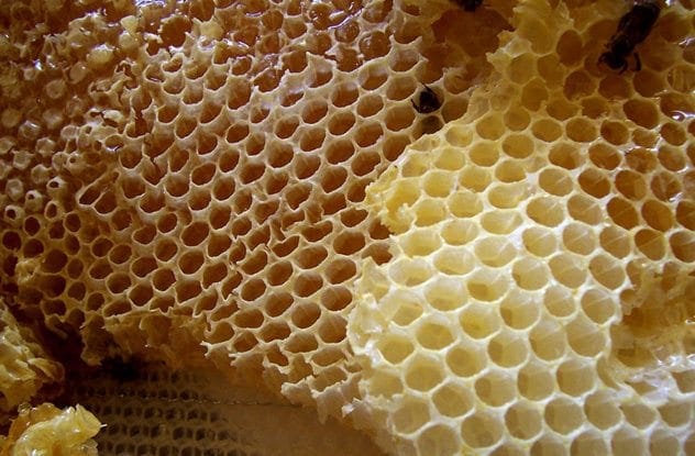 Honeycombs with honey