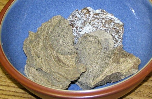 Ambergris chunk