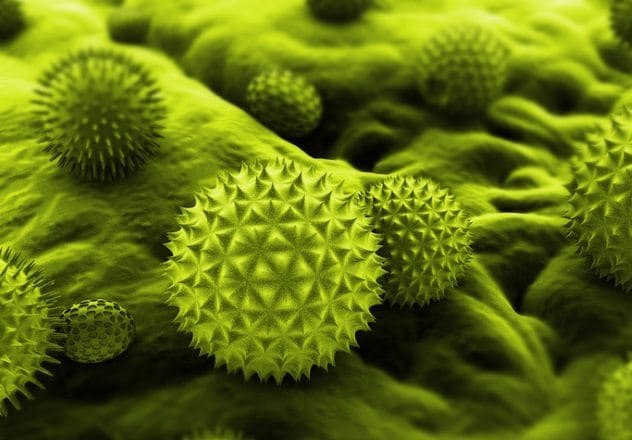 Pollen biomarkers
