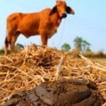 10 Ingenious Ways to Survive Winter Without Electricity